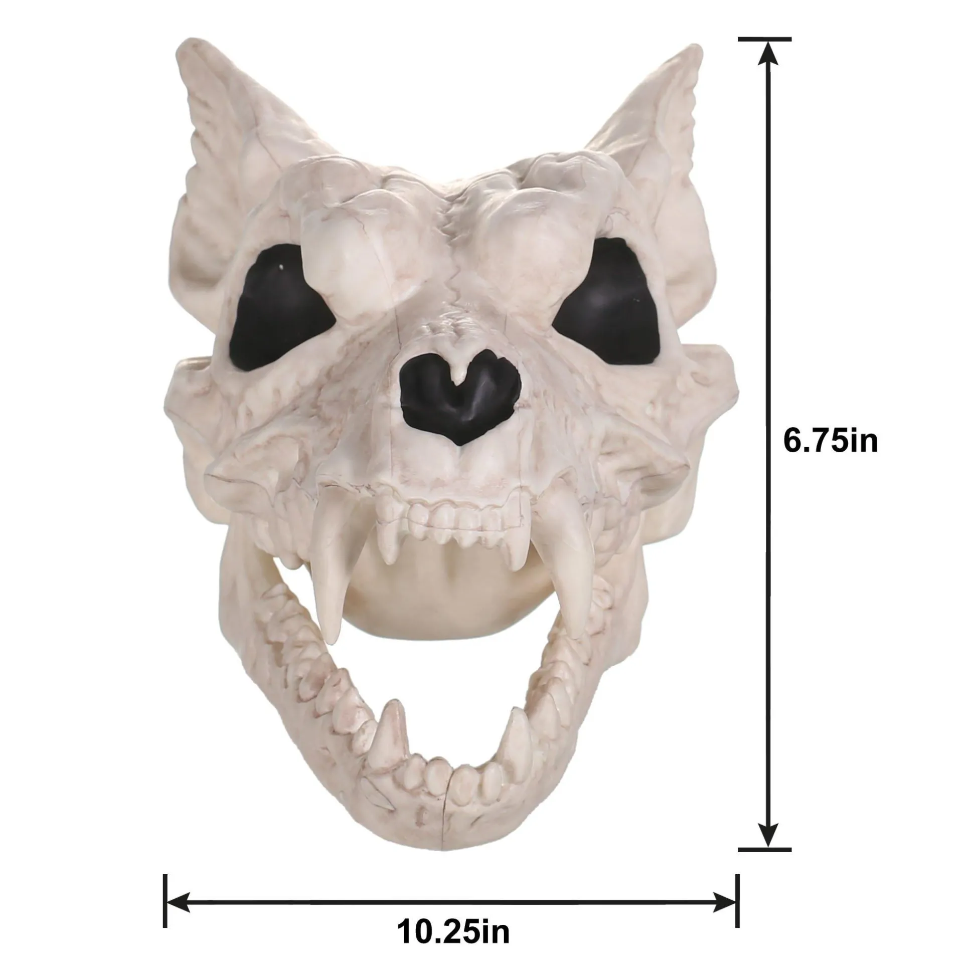 Party City Plastic Werewolf Skull, 6.75In X 10.25In| Skeletons