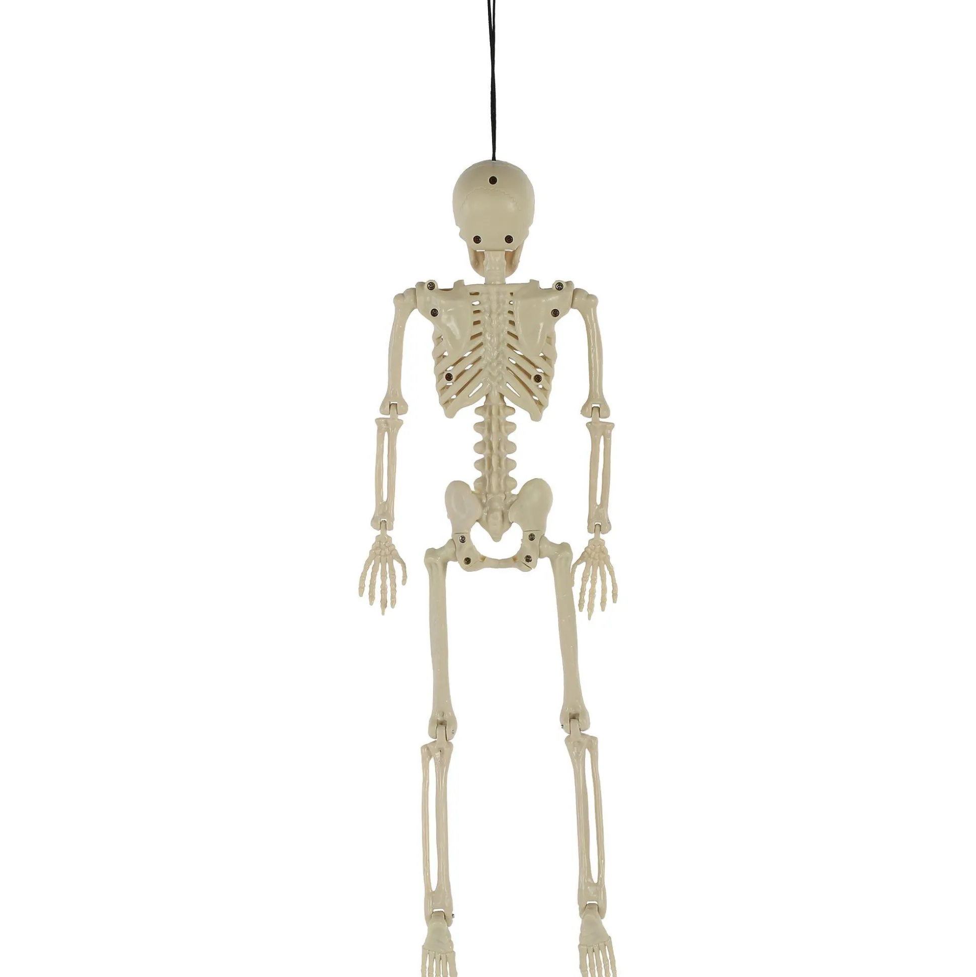 Party City Poseable Plastic Hanging Skeleton, 15.5In| Hanging Decorations