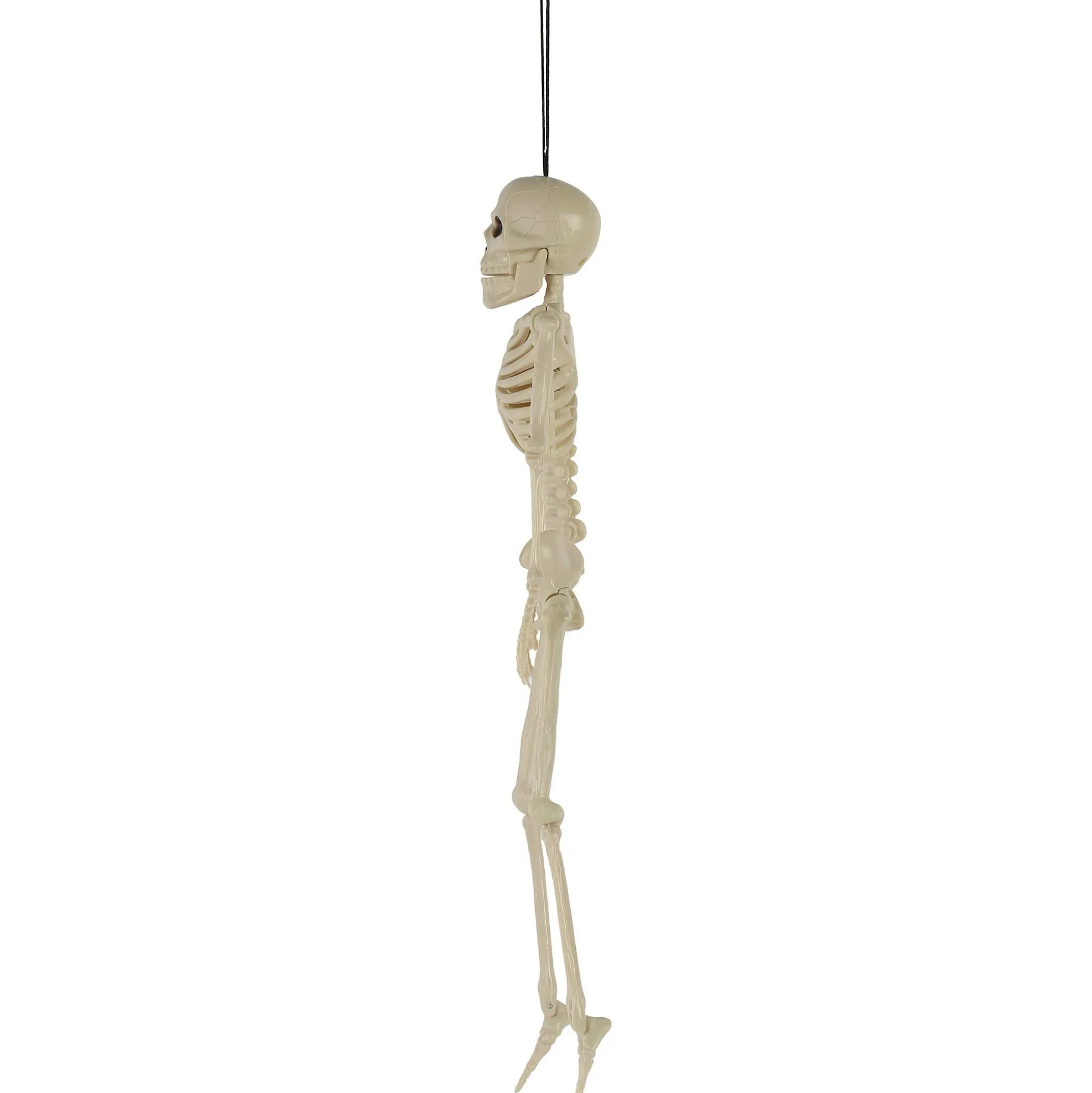 Party City Poseable Plastic Hanging Skeleton, 15.5In| Skeletons