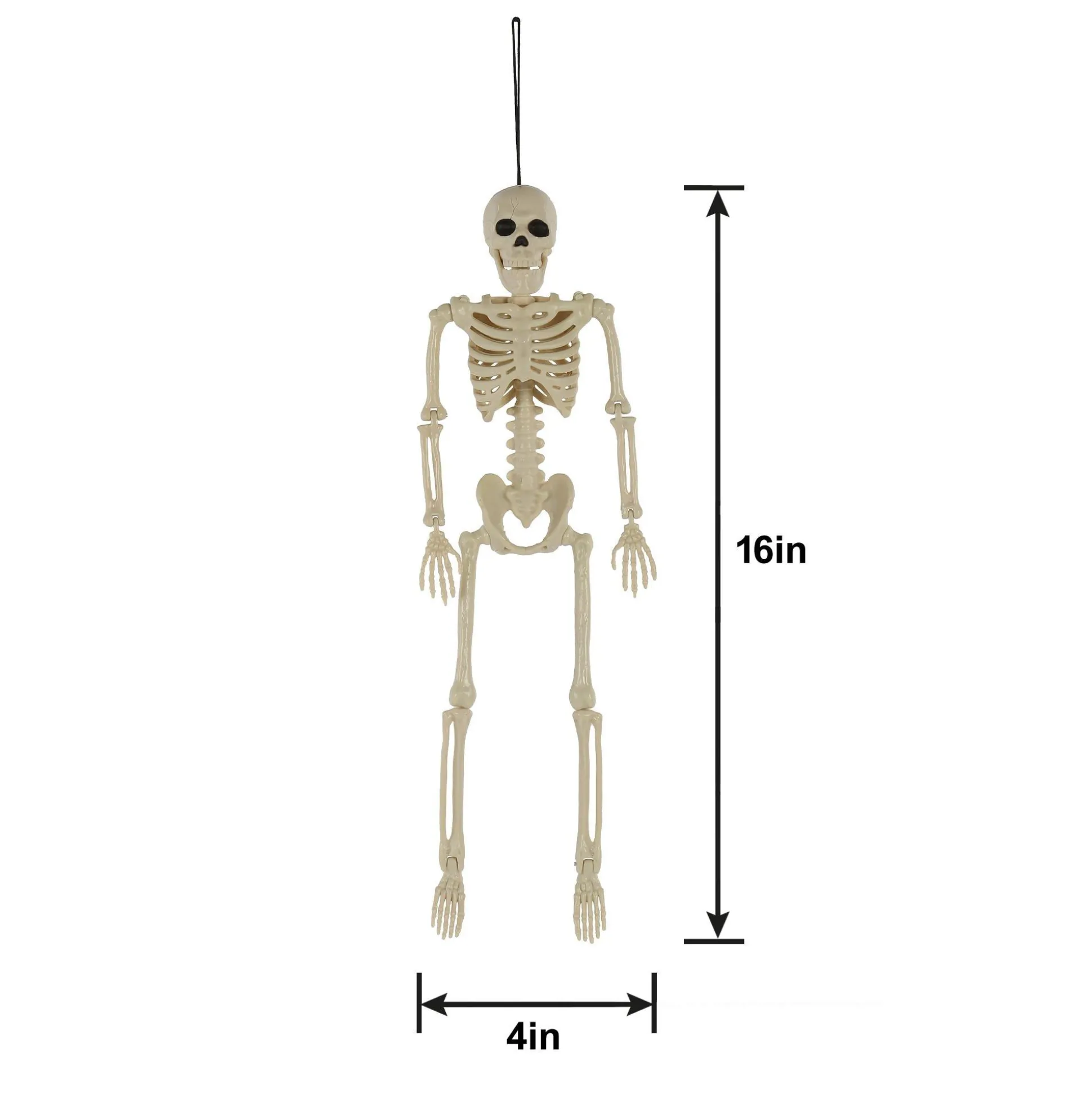 Party City Poseable Plastic Hanging Skeleton, 15.5In| Skeletons
