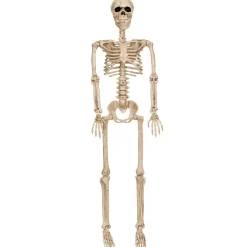 Party City Realistic Hanging Skeleton, 3Ft - Halloween Decoration| Skeletons
