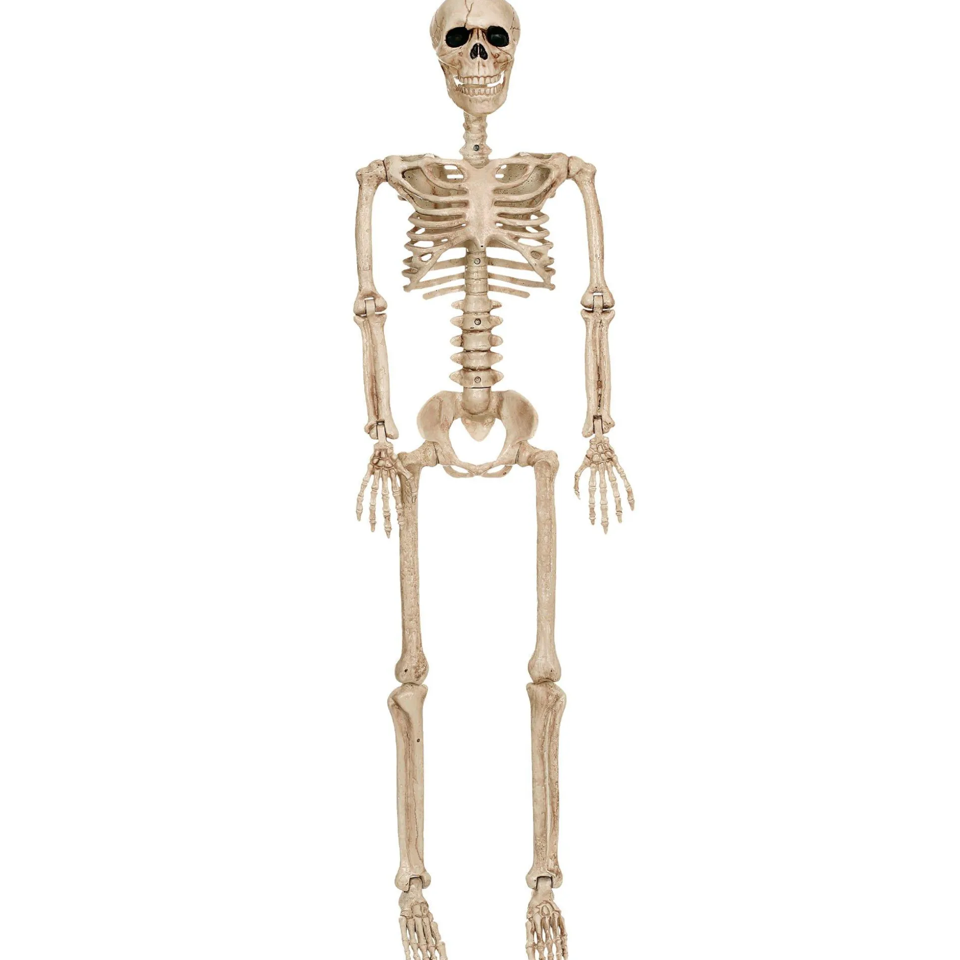 Party City Realistic Hanging Skeleton, 3Ft - Halloween Decoration| Skeletons