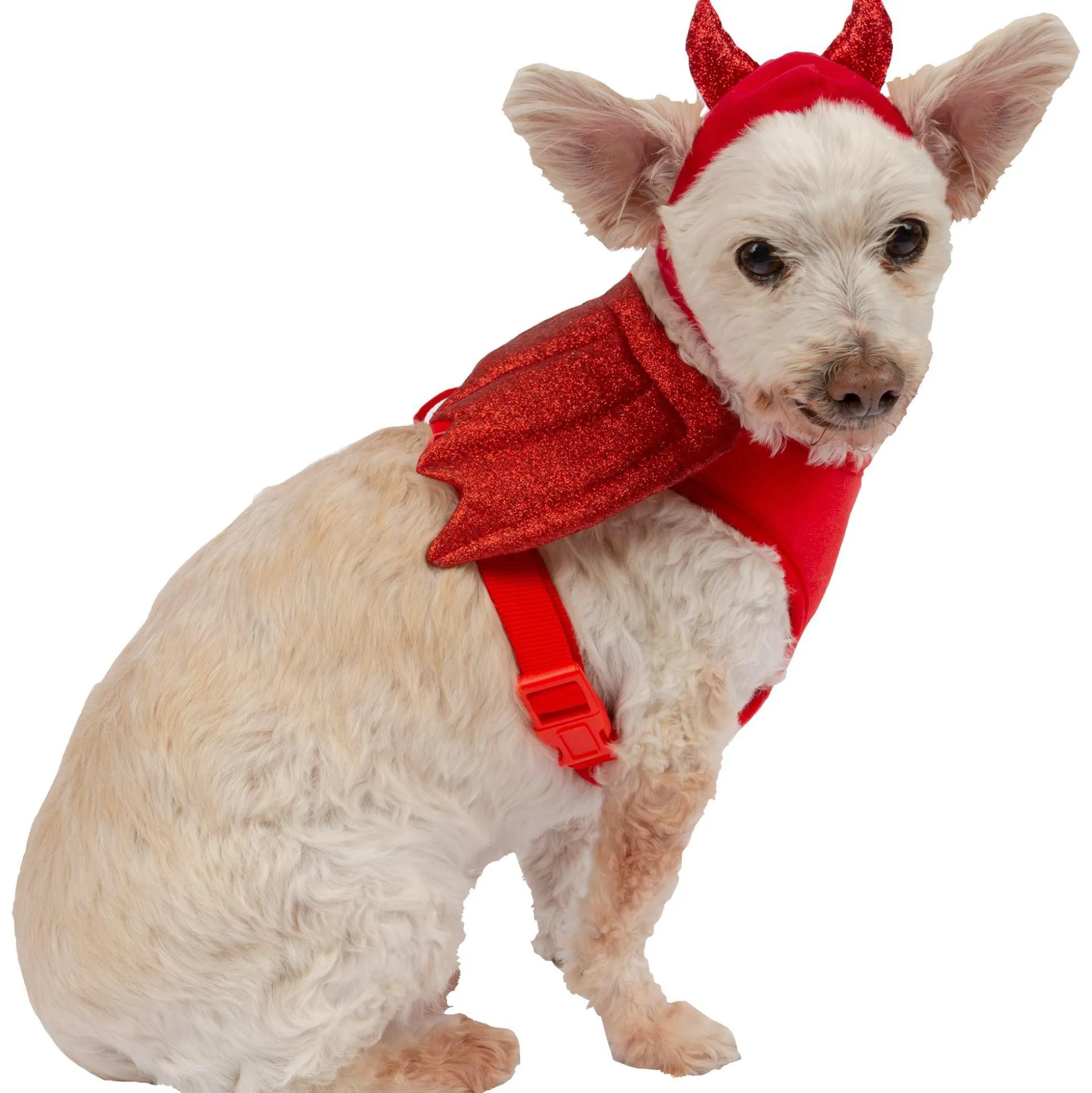 Hot Red Winged Devil Dog Harness Set Dog & Pet Costumes