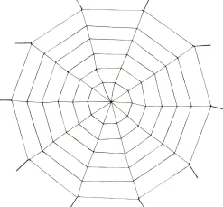 Party City Rope Spider Web| Spiders & Webbing