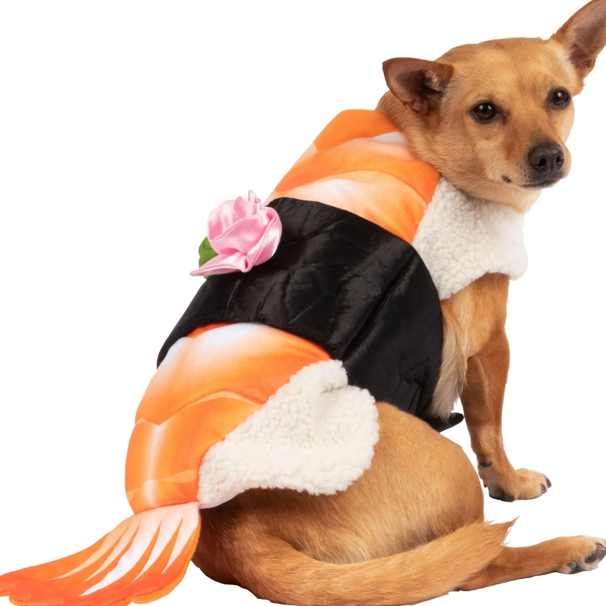 Shop Shrimp Sushi Dog Costume Dog & Pet Costumes