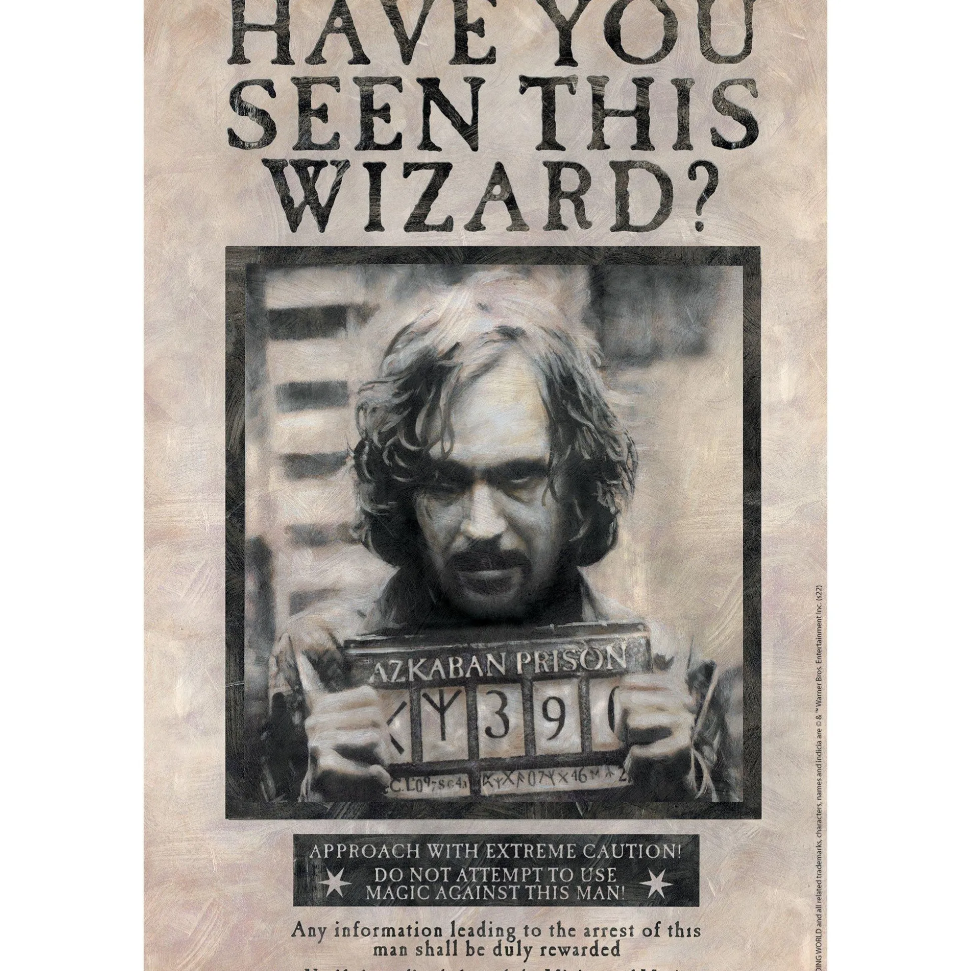 Party City Sirius Black Lenticular Plastic Cutout, 12In X 18In - Harry Potter| Decorations