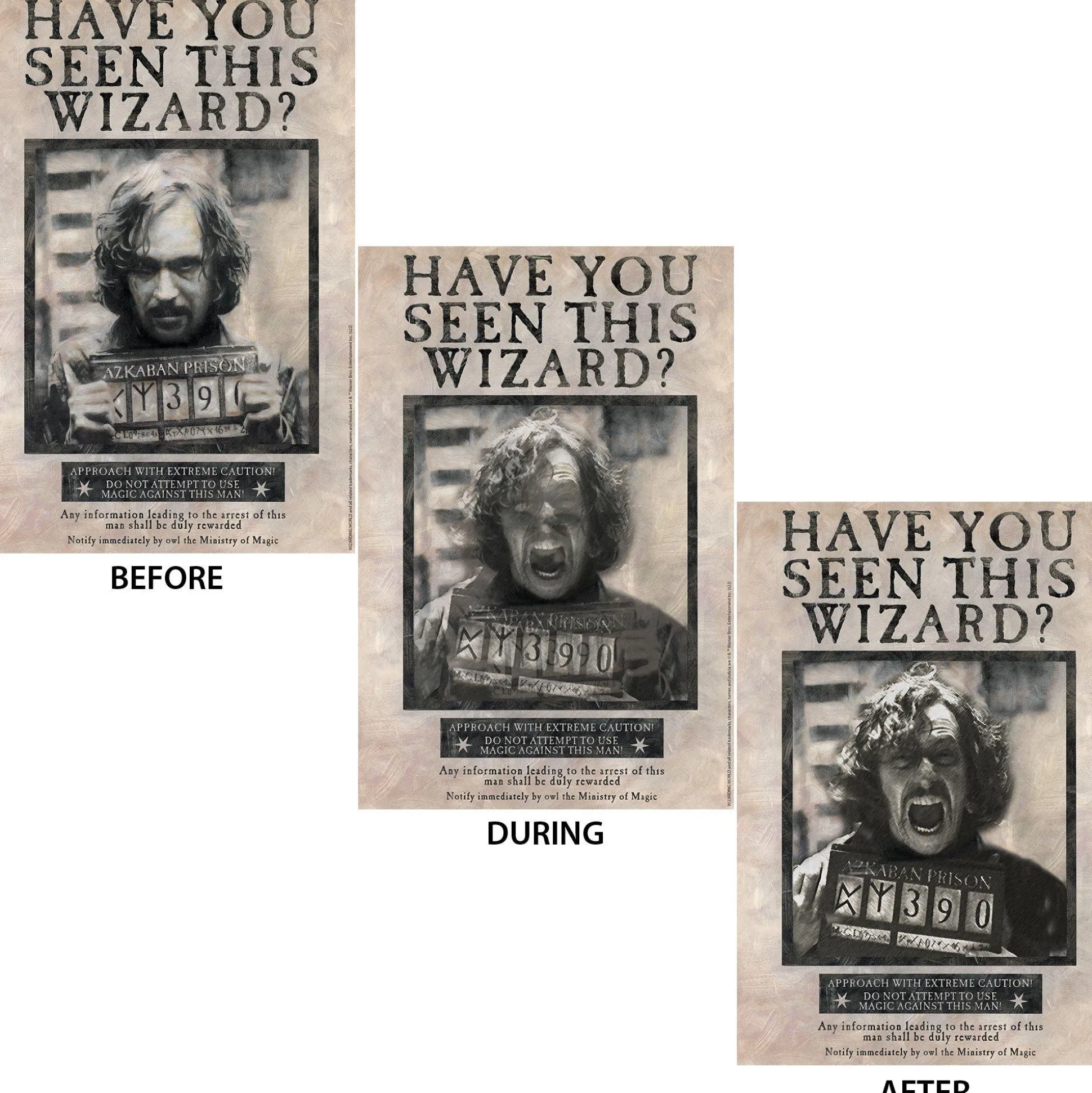 Party City Sirius Black Lenticular Plastic Cutout, 12In X 18In - Harry Potter| Decorations