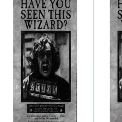 Party City Sirius Black Lenticular Plastic Cutout, 12In X 18In - Harry Potter| Decorations