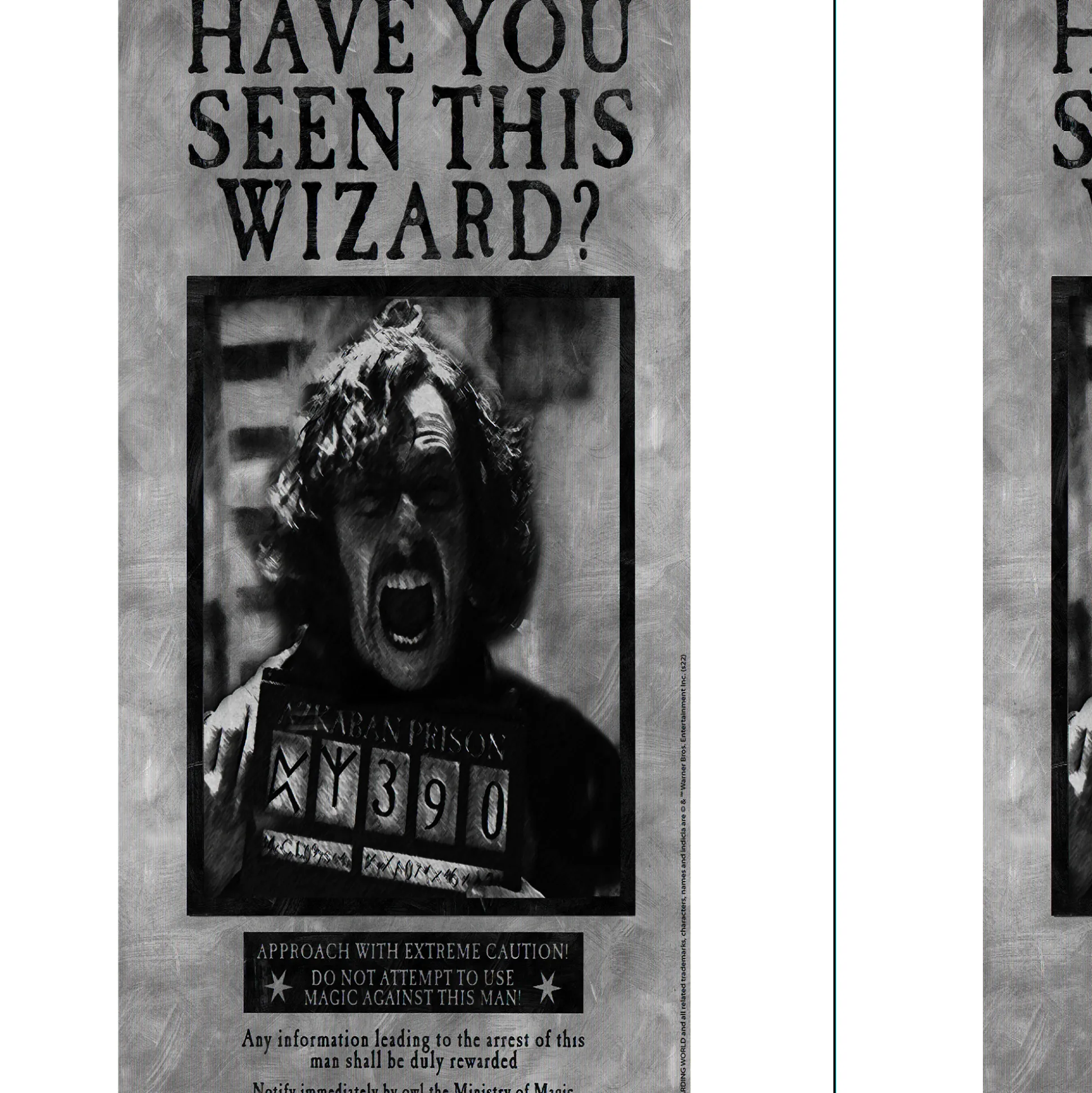 Party City Sirius Black Lenticular Plastic Cutout, 12In X 18In - Harry Potter| Decorations