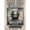 Party City Sirius Black Lenticular Plastic Cutout, 12In X 18In - Harry Potter| Window & Wall Décor