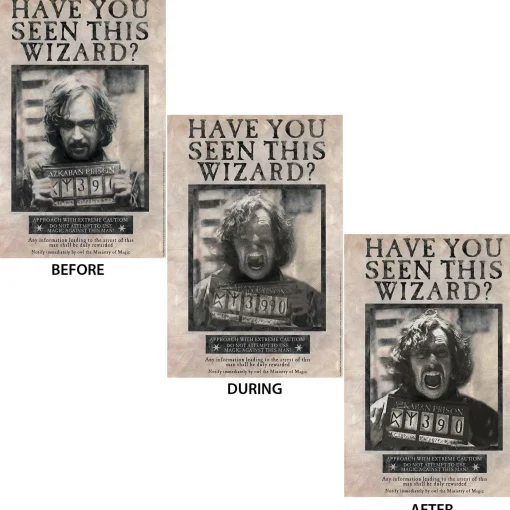 Party City Sirius Black Lenticular Plastic Cutout, 12In X 18In - Harry Potter| Window & Wall Décor