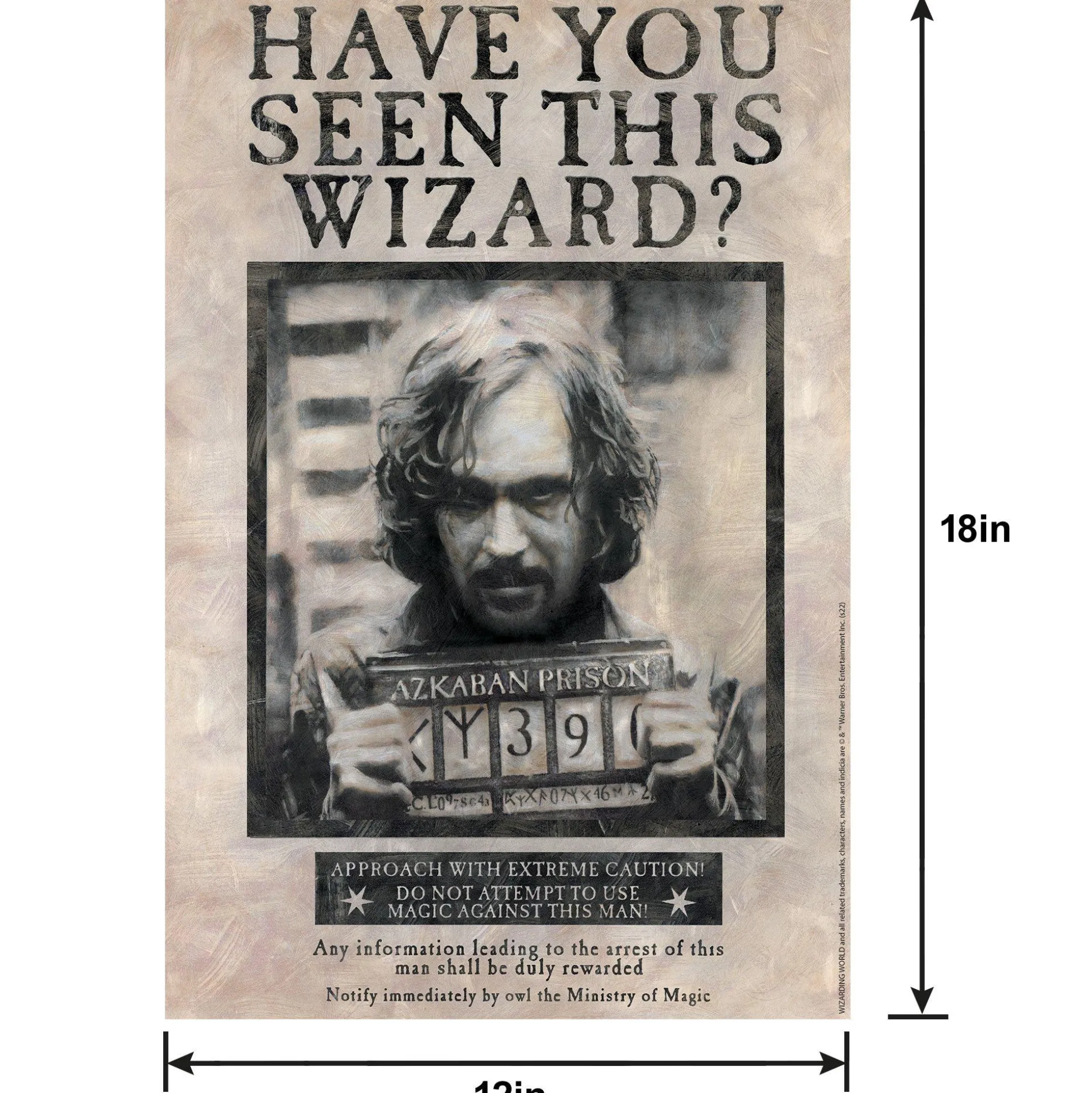Party City Sirius Black Lenticular Plastic Cutout, 12In X 18In - Harry Potter| Harry Potter Hogwarts