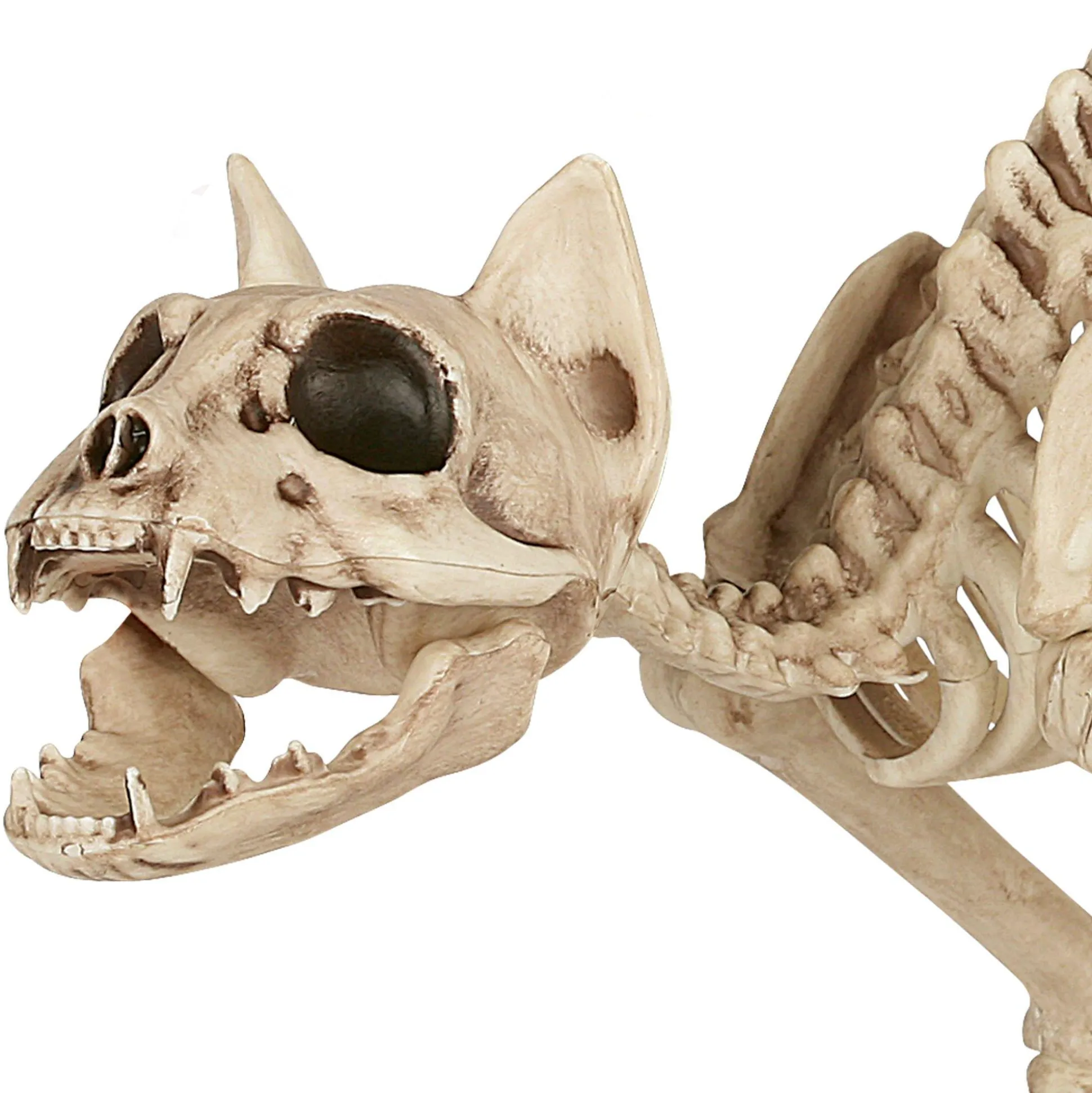 Party City Skeleton Cat Decoration, 18In X 10.25In| Skeletons