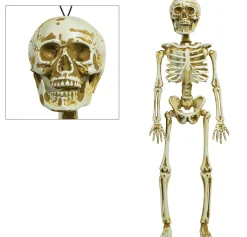 Party City Skeleton Decoration| Skeletons