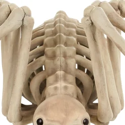 Party City Skeleton Spider Decoration, 21In X 12In| Spiders & Webbing