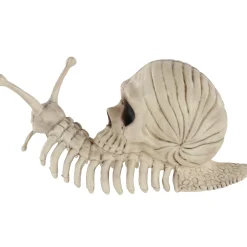 Party City Skull Shell Plastic Snail Skeleton, 3.9In X 8.6In| Skeletons