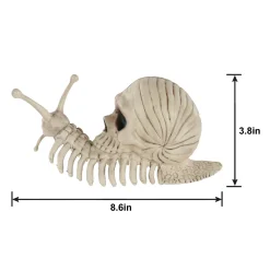 Party City Skull Shell Plastic Snail Skeleton, 3.9In X 8.6In| Skeletons