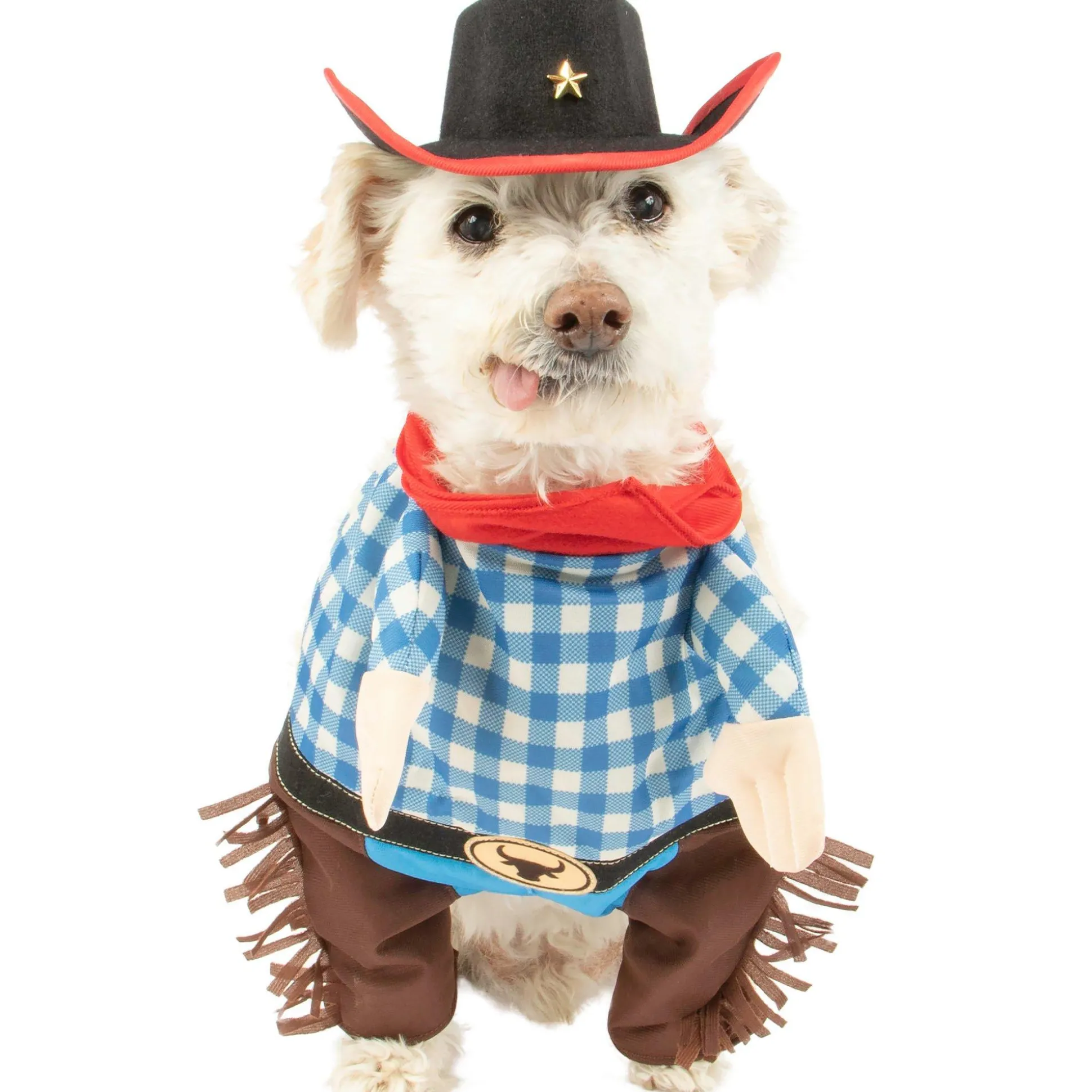 Discount Walking Western Cowboy Dog Costume Dog & Pet Costumes