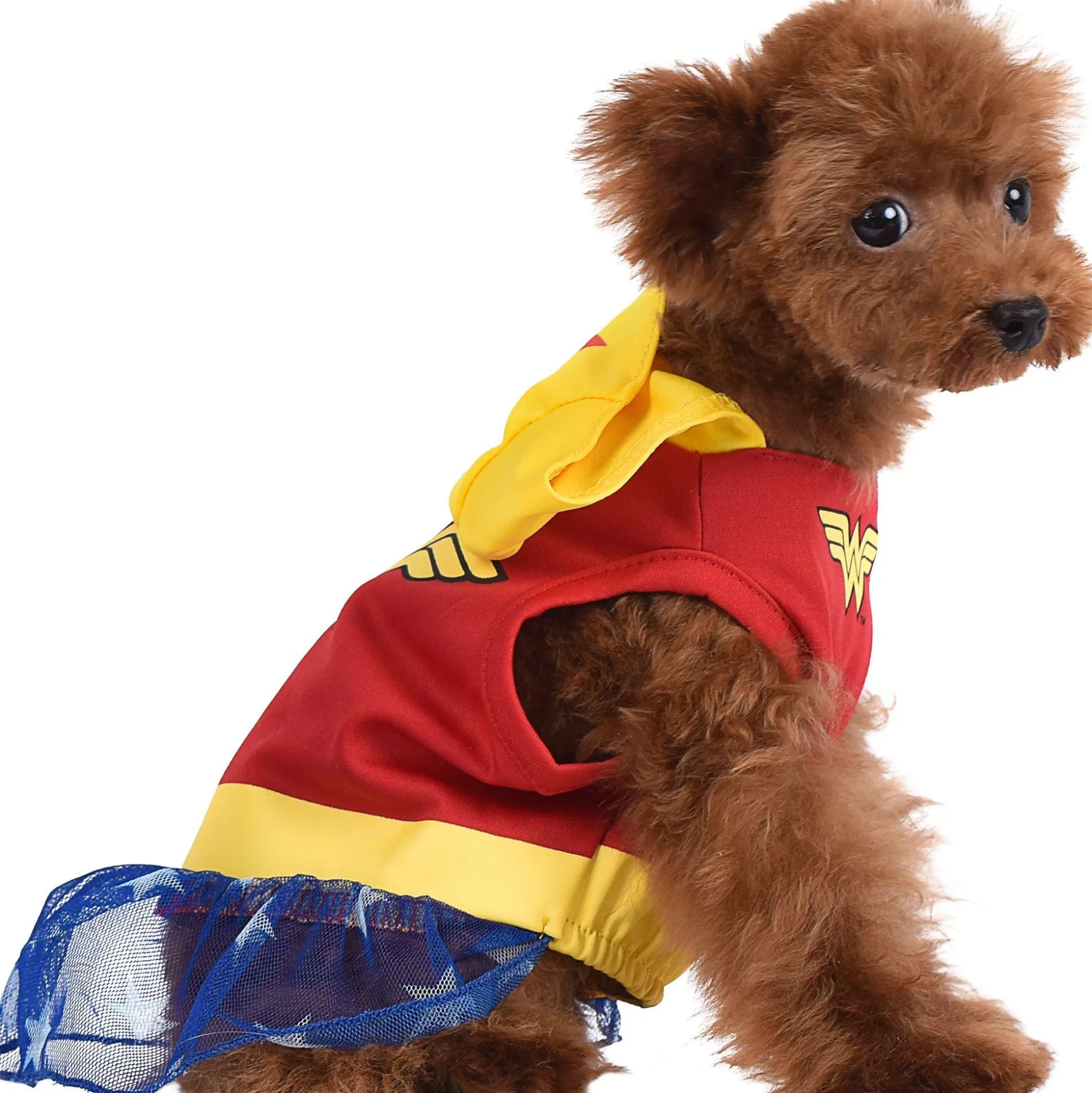 Fashion Wonder Woman Dog Costume & Toy - Dc Comics Dog & Pet Costumes